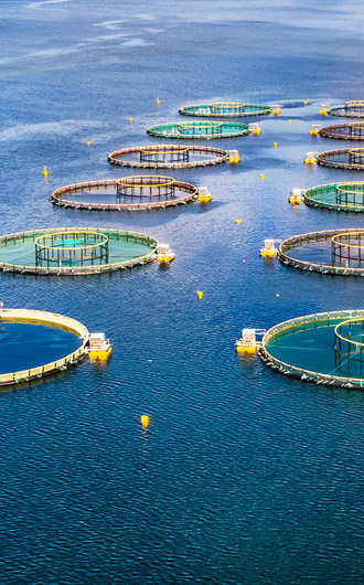水產(chǎn)養(yǎng)殖監(jiān)測解決方案