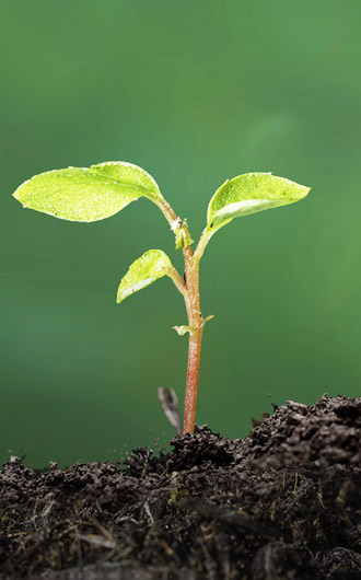 農(nóng)業(yè)灌溉水質(zhì)監(jiān)測方案