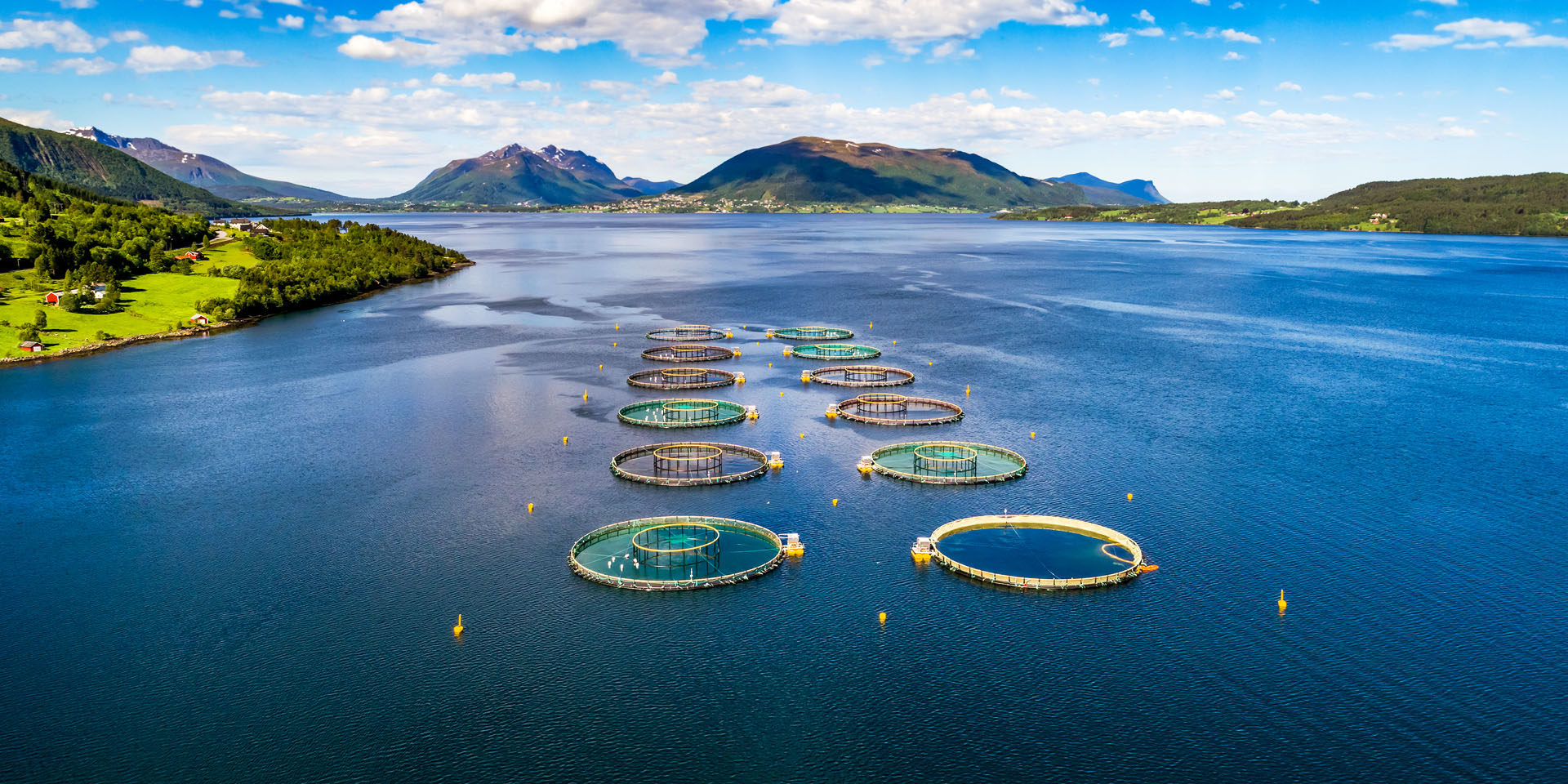 水產(chǎn)養(yǎng)殖水質(zhì)監(jiān)測(cè)系統(tǒng)